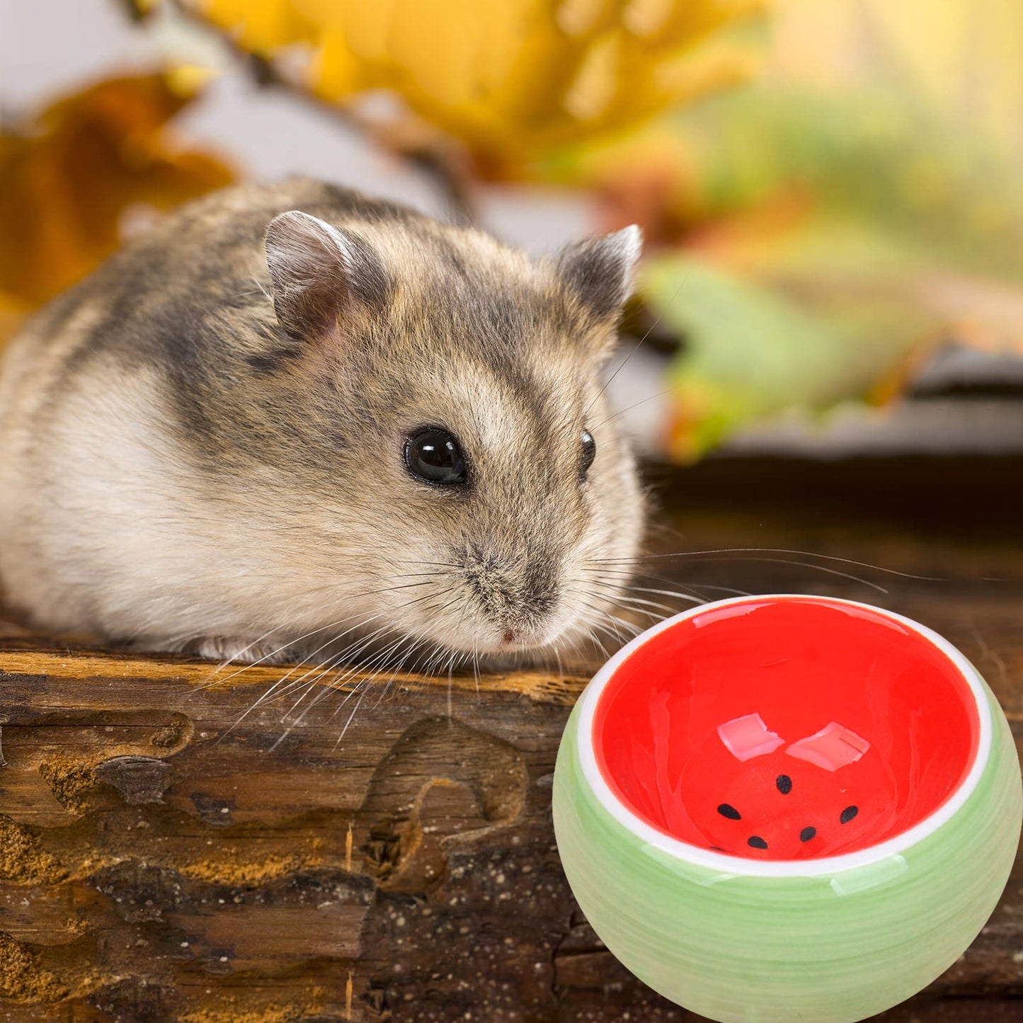 Hamster Bowl Food Dish Ceramic Small Animal Water Food Feeding Bowl for Gerbil Chinchilla Rat Ferret Hedgehog Ceramic Hideout