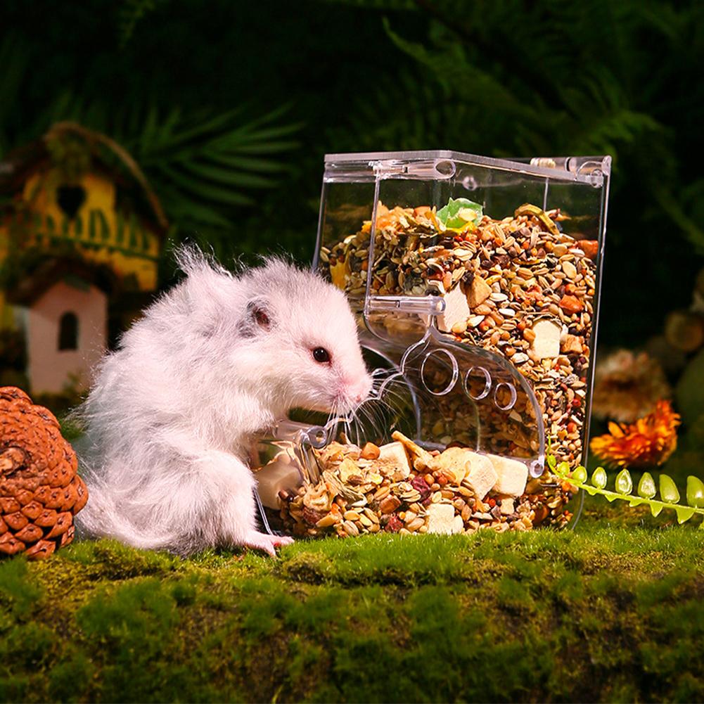 Pet Clear Automatic Feeder Food Dispenser Food Bowl Container For Hamster Chinchilla Rabbit Golden Bear