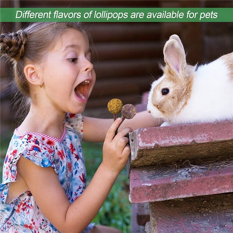 Hamster Natural Flowers Lollipop Timothy Molar Rod Hay Chewing Stick Chew Treat For Rabbits Chinchilla Guinea Pigs Gerbils