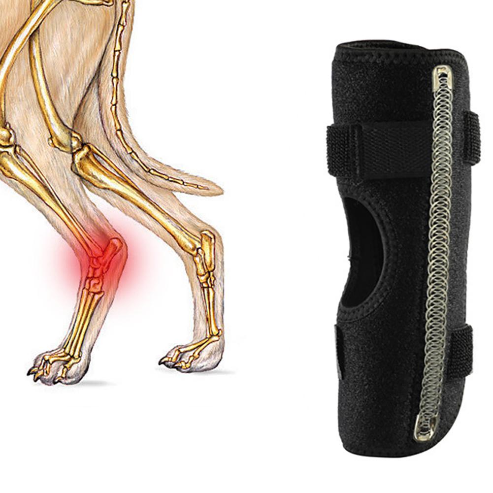 Pet Dog Braces Anti-licking Compression Wrap Pet Protective Gear Wound Care For Injury Sprain Protection