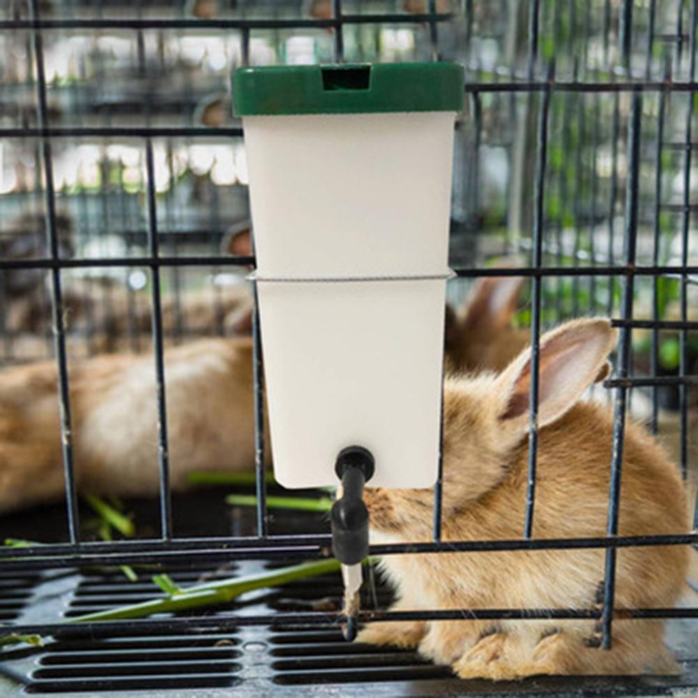Rabbit Water Dispenser Drinker Feeder Drinking Fountain Automatic Drinking Equipment