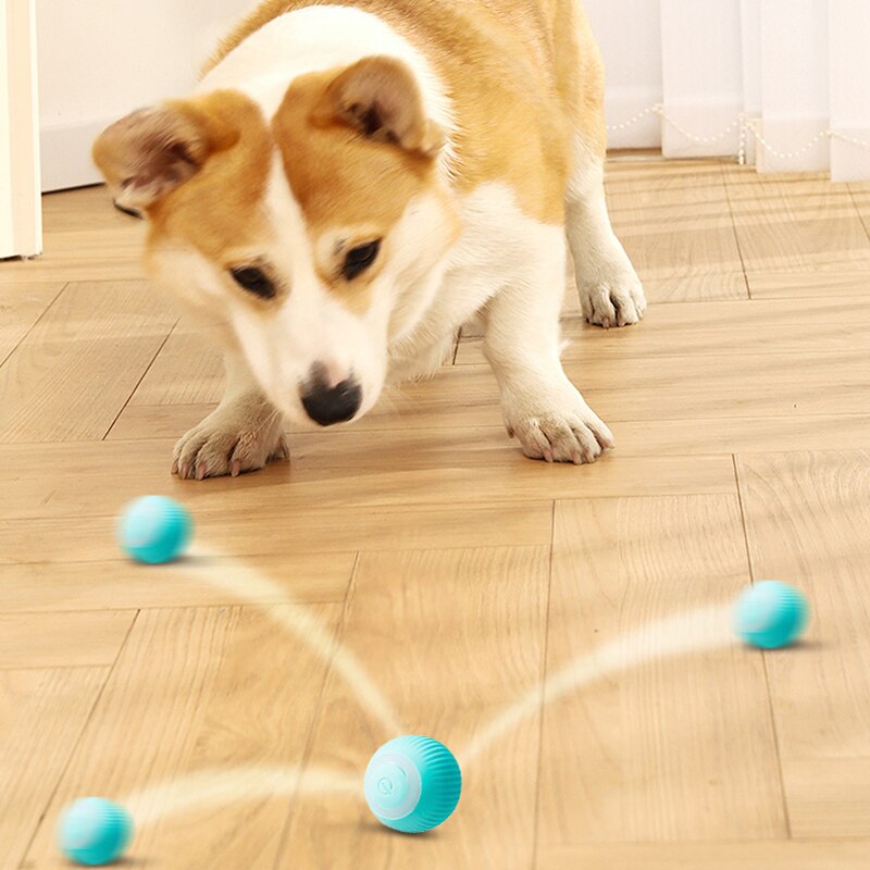 HOOPET Electric Rolling Ball Cat Toys Interactive Training For Small Dog Automatic Self-moving Kitten Toy Pet Accessories