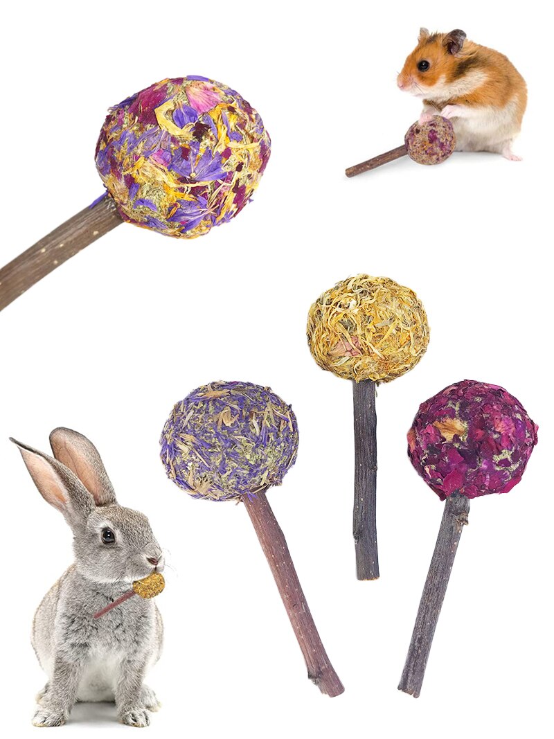 Hamster Natural Flowers Lollipop Timothy Molar Rod Hay Chewing Stick Chew Treat For Rabbits Chinchilla Guinea Pigs Gerbils
