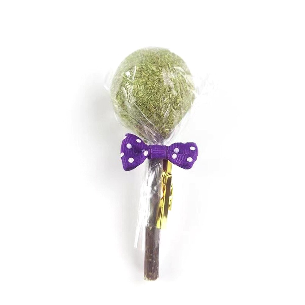 Hamster Natural Flowers Lollipop Timothy Molar Rod Hay Chewing Stick Chew Treat For Rabbits Chinchilla Guinea Pigs Gerbils