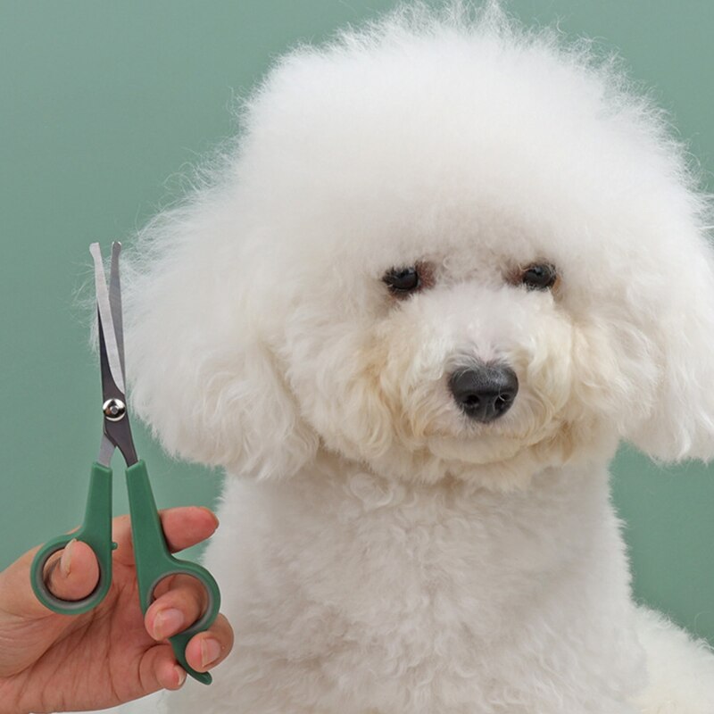 1pc Professional Dogs Hair Scissor Stainless Steel Grooming Scissors Rounded Tip Pets Durable Safety Hair Cutting Tools