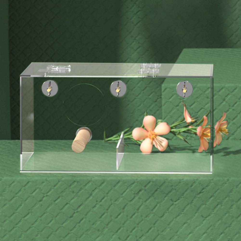 Transparent Parrot Breeding Cage Breathable Waterproof Anti-bite Acrylic Bird House Bird Supplies