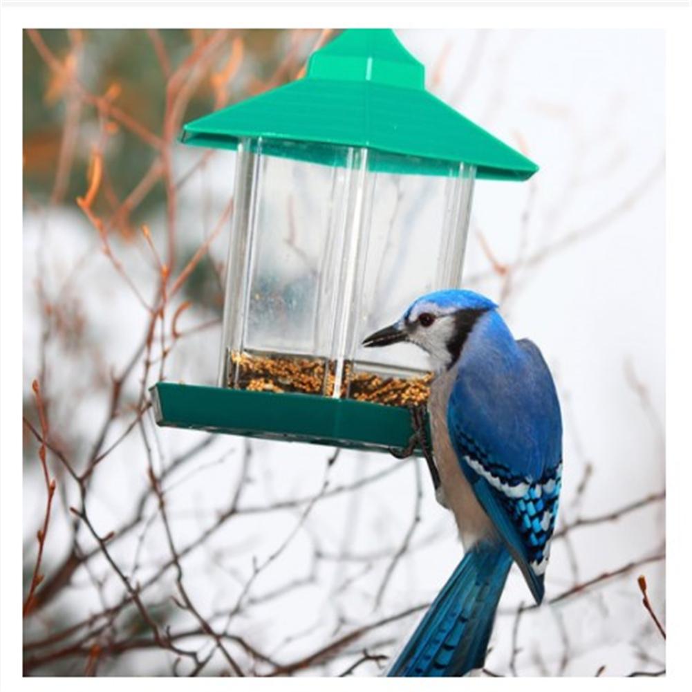 Wild Bird Feeder Outside Anti Squirrel Hanging Bird Feeder For Garden Patio Outdoor Decoration