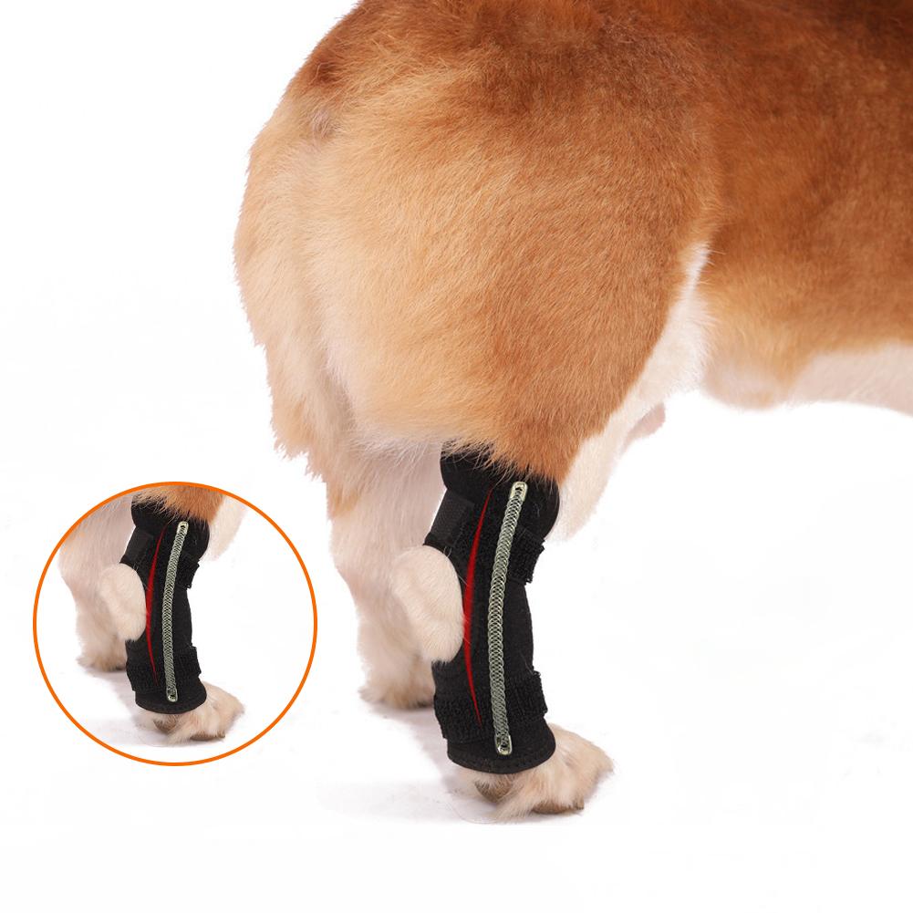 Pet Dog Braces Anti-licking Compression Wrap Pet Protective Gear Wound Care For Injury Sprain Protection