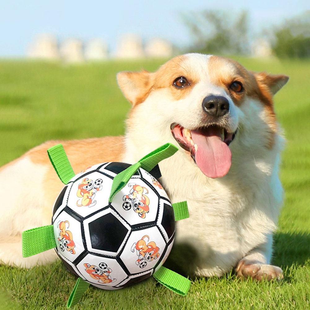 Pet Dog Football Toys Multi-functional Bite-resistant Dog Outdoor Interactive Training Toys Chew Toy