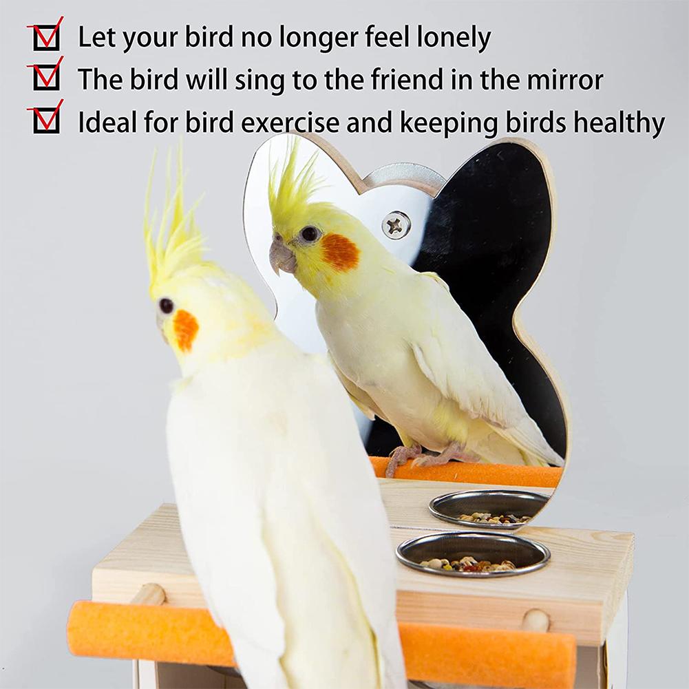 Parrots Mirror With Feeder Cups Bowl Wooden Birds Interactive Self-happy Toy Puzzle Toy Bird Cage Parrot Toys Accessories