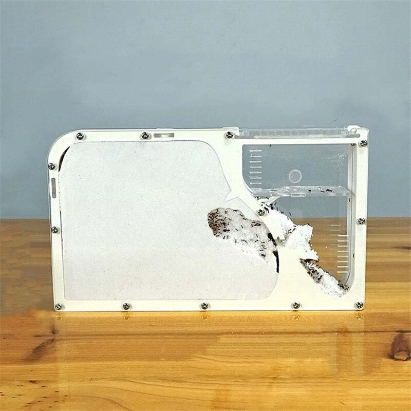 Ant Castle M Ecological Insect Box Pet Ant Workshop Tribe Lazy Farm Children Gift for Christmas