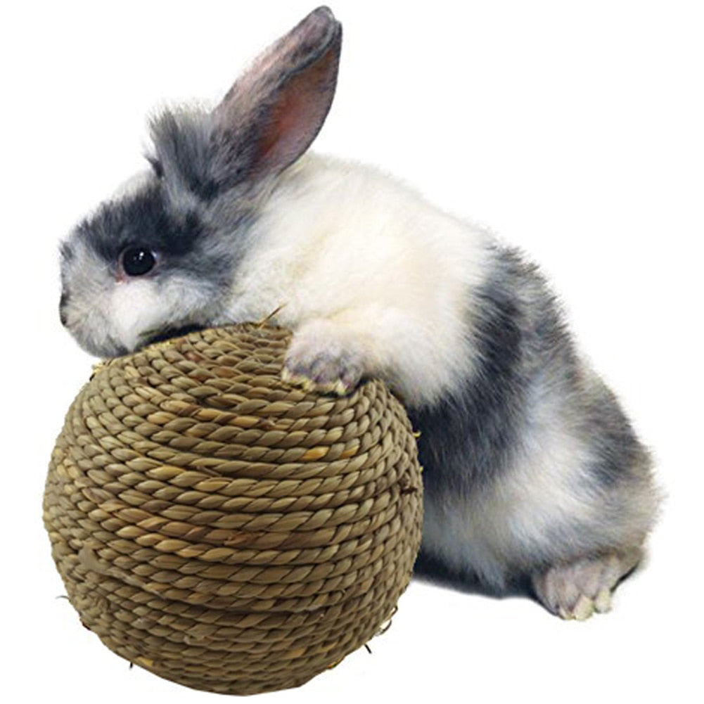 Natural Grass Ball Rabbit Games Funny Small Pet Product for Hamster Straw Rope Bunny Chewing Toy for Teeth Cleaning Dropshipping