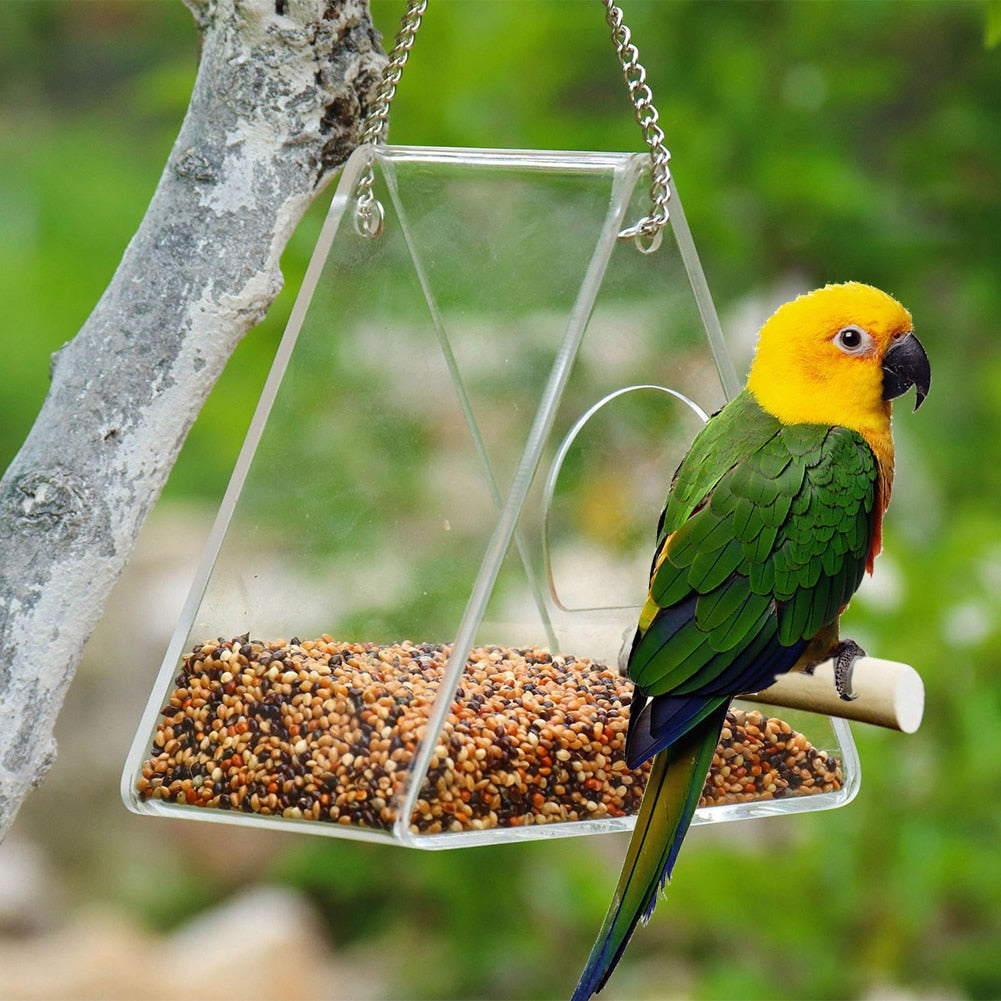Bird Feeder Transparent Window Viewing Bird Feeders Tray Birdhouse Pet Water Feeder Suction Cup Mount House Type Bird Feeder