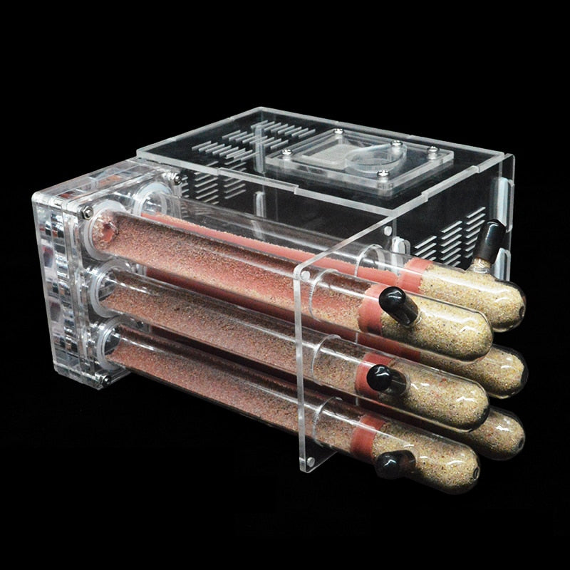 DIY ants farm house with Feeding Area Ant Nest Insect Workshop Pet Anthill with 6 Plaster Tubes 15*14.5*8.5cm