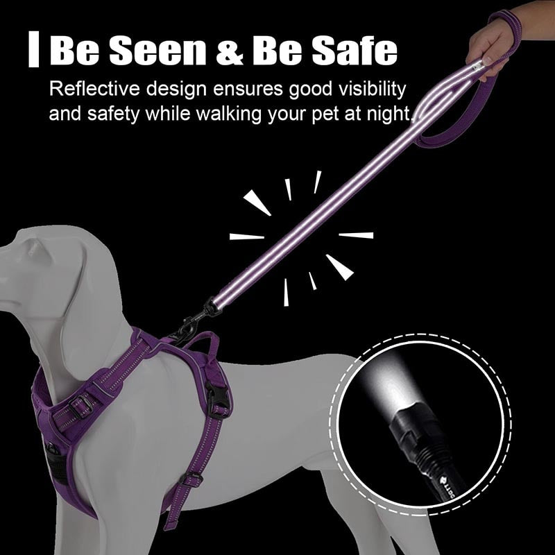 Truelove 200Cm Dog Lead Leash Nylon Running Reflective Training Lead Outside Pet Leash for Small Large Dogs Correa Perro Walking