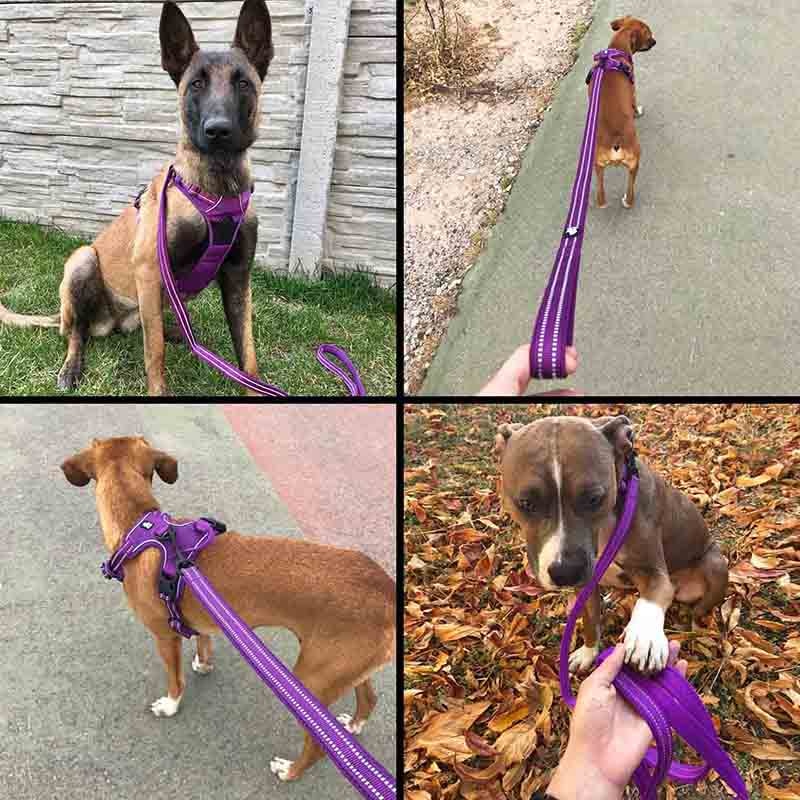 Truelove 200Cm Dog Lead Leash Nylon Running Reflective Training Lead Outside Pet Leash for Small Large Dogs Correa Perro Walking