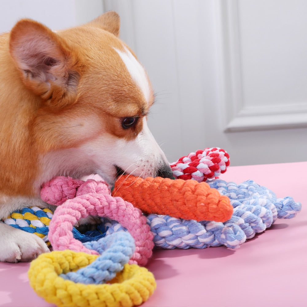 HOOPET Pets Dogs Pet Chewing Toys for Dog Outdoor Teeth Clean Pet Dog Puppy Cotton Chew Knot Braided Bone Rope Funny Tool