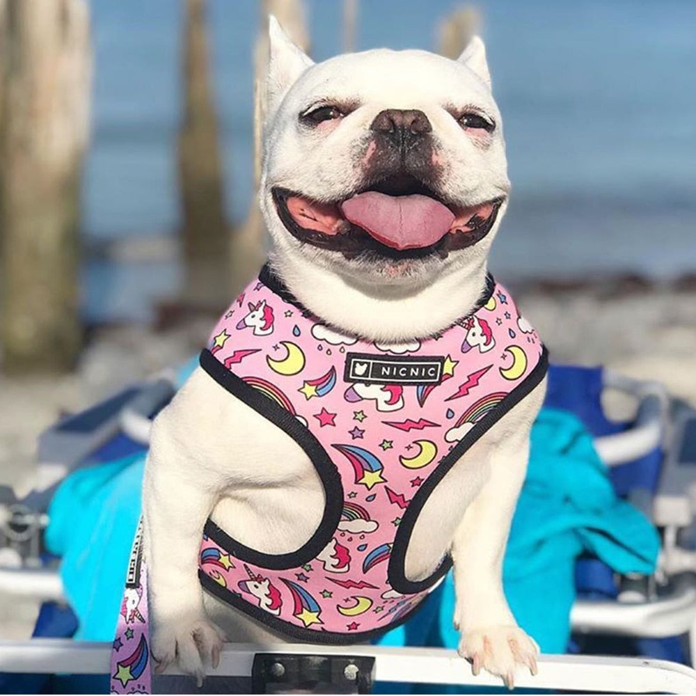 Pug Small Dog Harness No Pull Dog Vest Harness for Small Medium Dogs Breathable Pets Puppy French Bulldog Dog Harness Leash Set