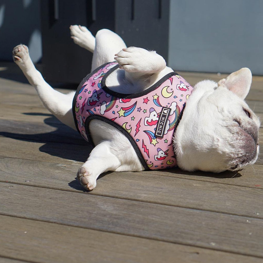 Pug Small Dog Harness No Pull Dog Vest Harness for Small Medium Dogs Breathable Pets Puppy French Bulldog Dog Harness Leash Set