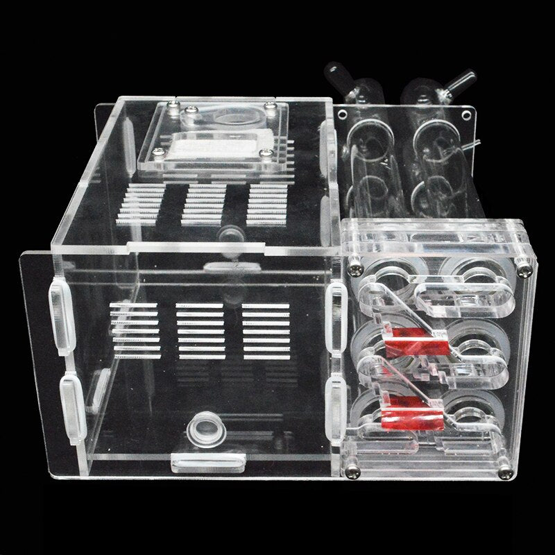DIY ants farm house with Feeding Area Ant Nest Insect Workshop Pet Anthill with 6 Plaster Tubes 15*14.5*8.5cm