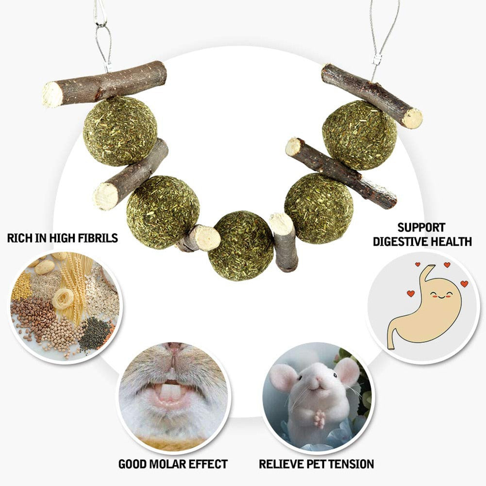 New Guinea Pig Bite Grind Teeth Toys Small Pets Rabbit Hamster Chinchilla Pet Grass Ball Branch Molar Chew Play Teething Toy