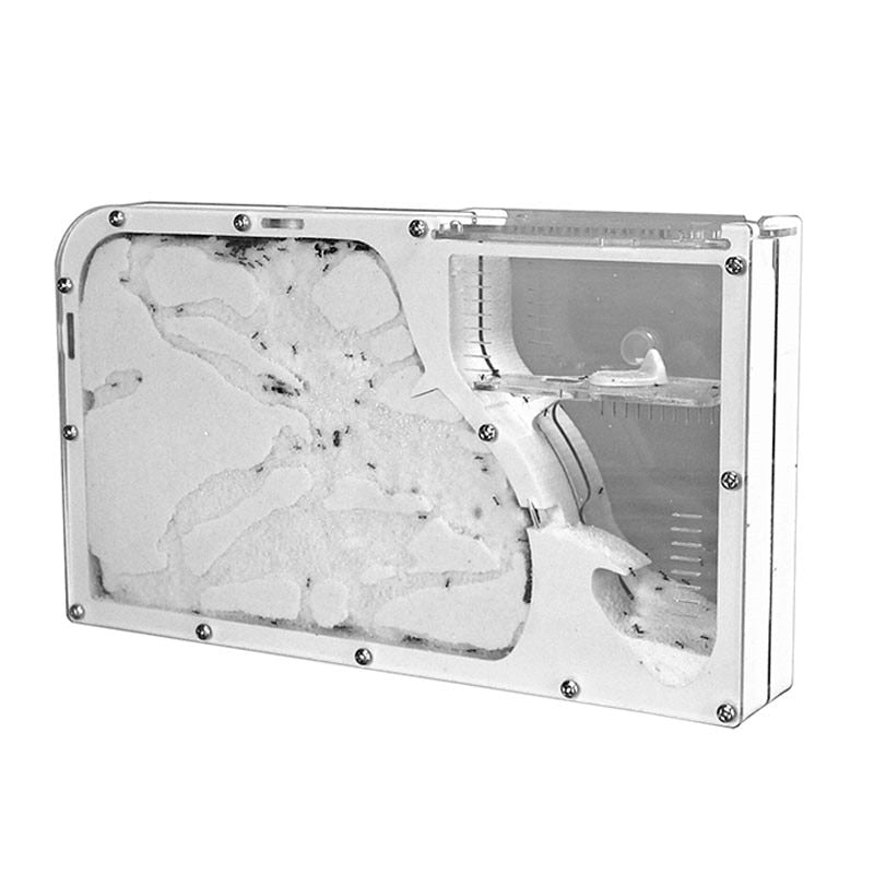 Ant Castle M Ecological Insect Box Pet Ant Workshop Tribe Lazy Farm Children Gift for Christmas