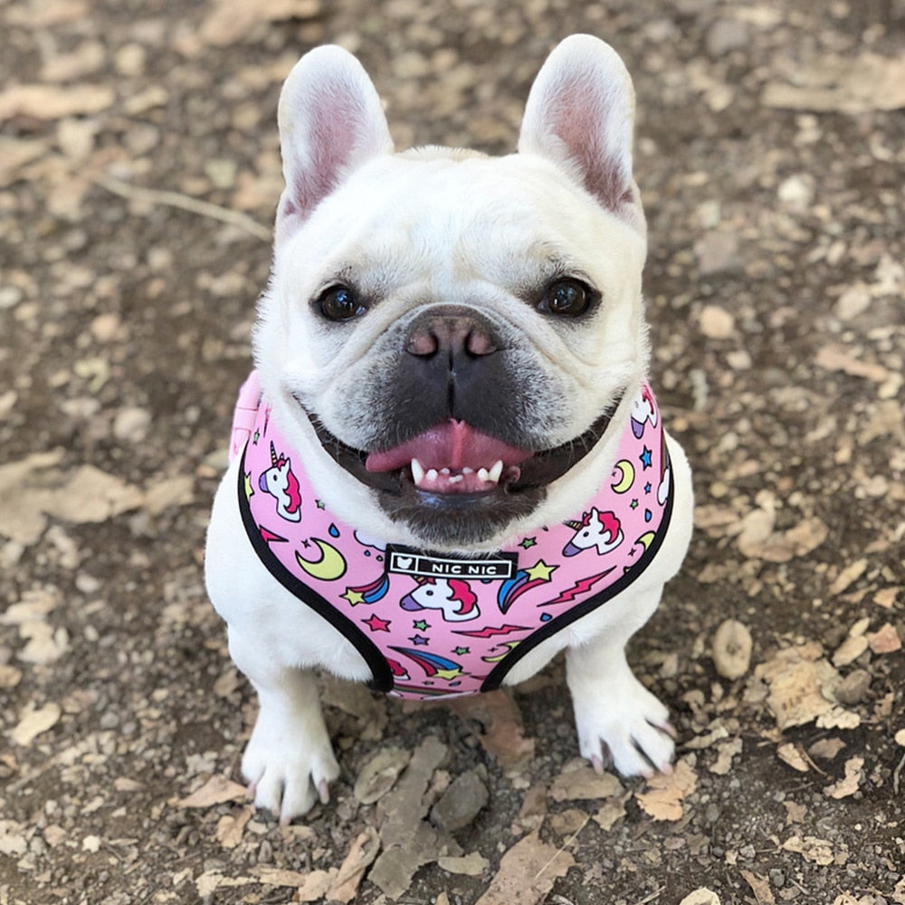 Pug Small Dog Harness No Pull Dog Vest Harness for Small Medium Dogs Breathable Pets Puppy French Bulldog Dog Harness Leash Set