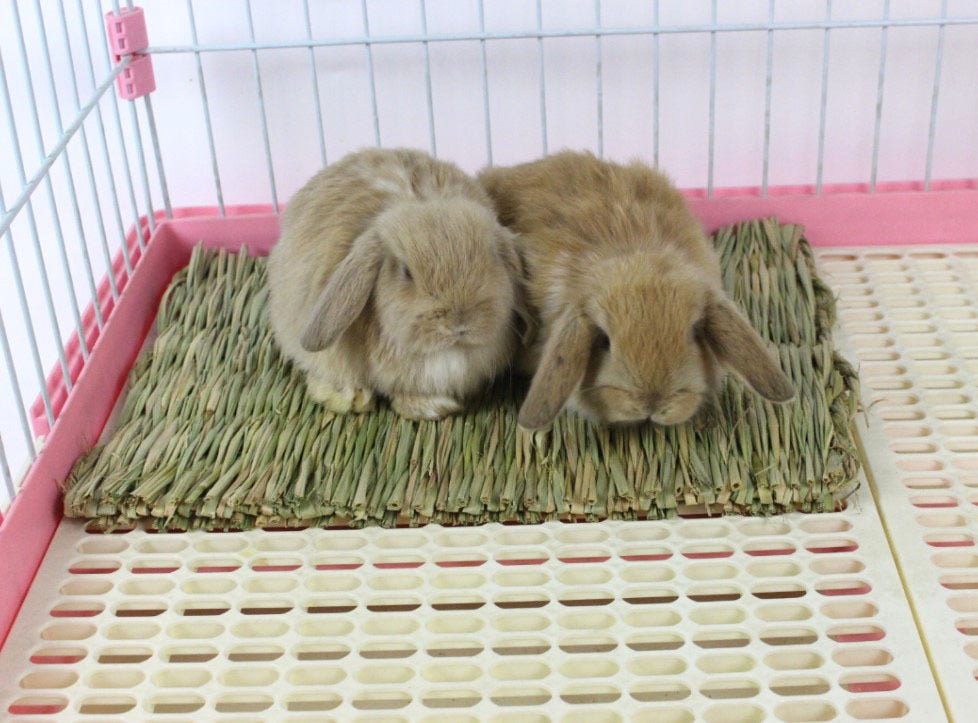 Foldable Woven Grass Pet Rabbit Hamster Guinea Pig Cage Nests House Chew Toy MJ72811