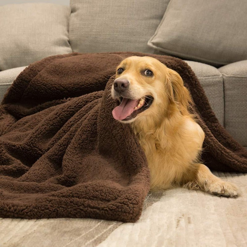 Benepaw Soft Cozy Fleece Pet Dog Blanket Warm Fluffy Plush Puppy Cat Blanket For Small Medium Large Dogs Machine Washable