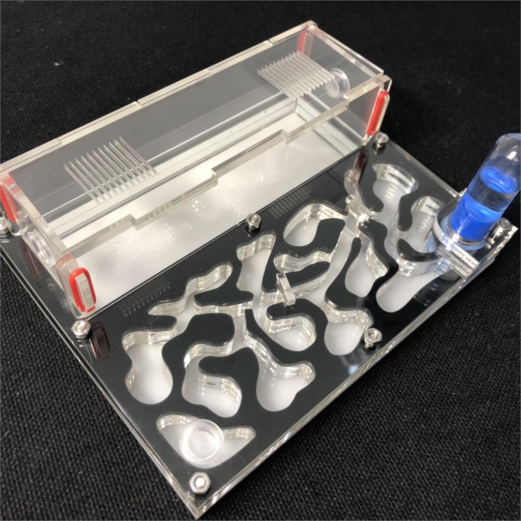 150mmx110mm test tube Moisture big space Ant Nest ,Ant Farm Acrylic, Insect ants Villa House Ants Ecological Workshop