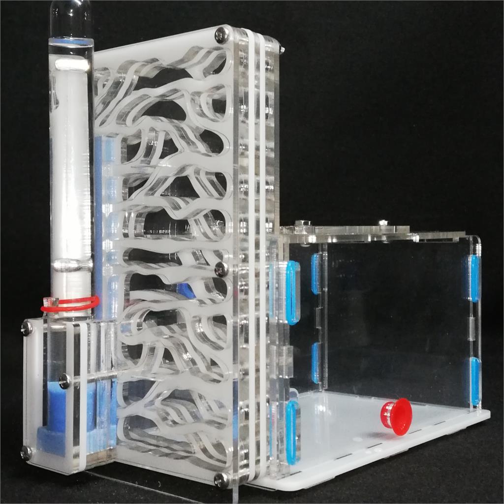 T design DIY with feeding area ant nest ,ant farm acryl, insect ant nests villa pet mania for house ants