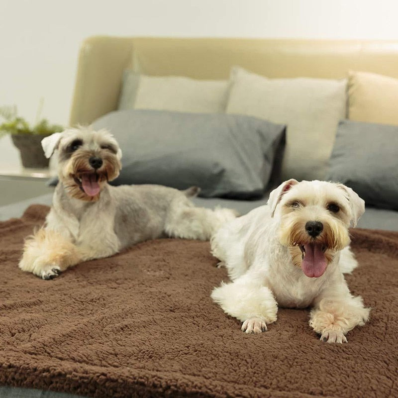 Benepaw Soft Cozy Fleece Pet Dog Blanket Warm Fluffy Plush Puppy Cat Blanket For Small Medium Large Dogs Machine Washable