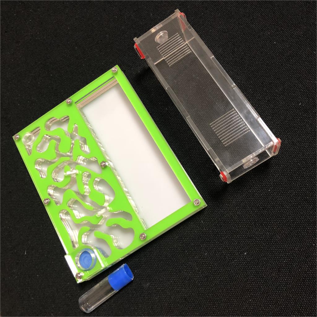 150mmx110mm test tube Moisture big space Ant Nest ,Ant Farm Acrylic, Insect ants Villa House Ants Ecological Workshop