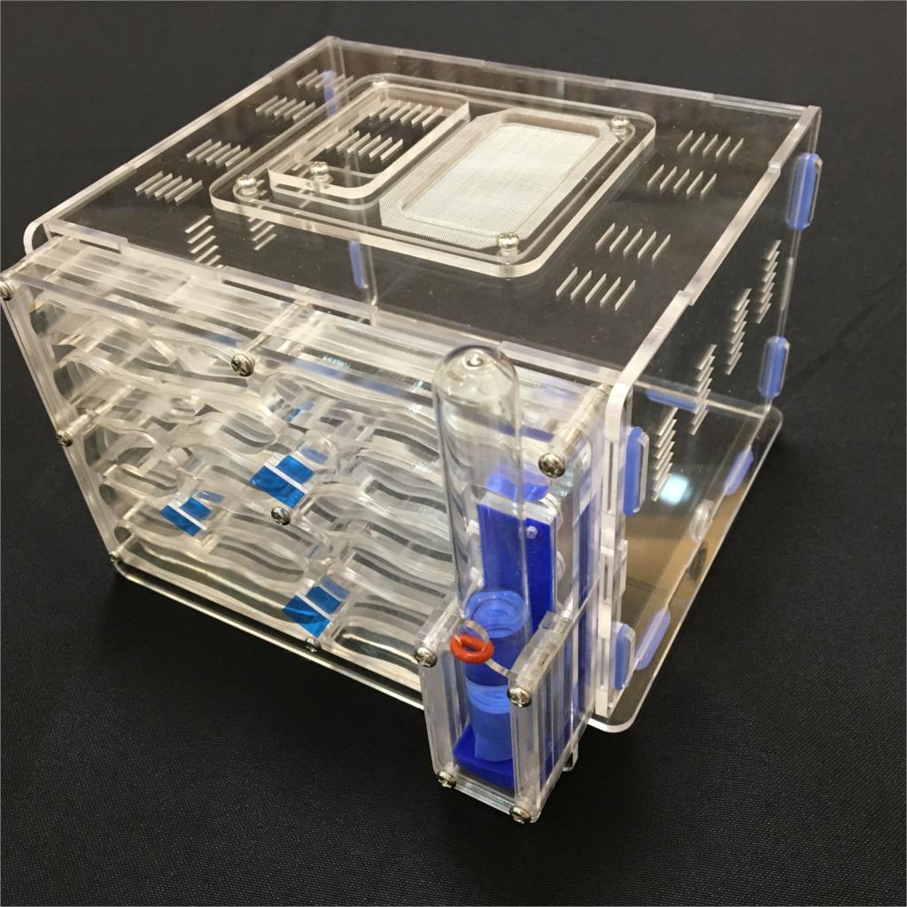 big 9color available DIY moisture with feeding area ant nest ,ant farm acryl, insect ant nests villa pet mania for house ants