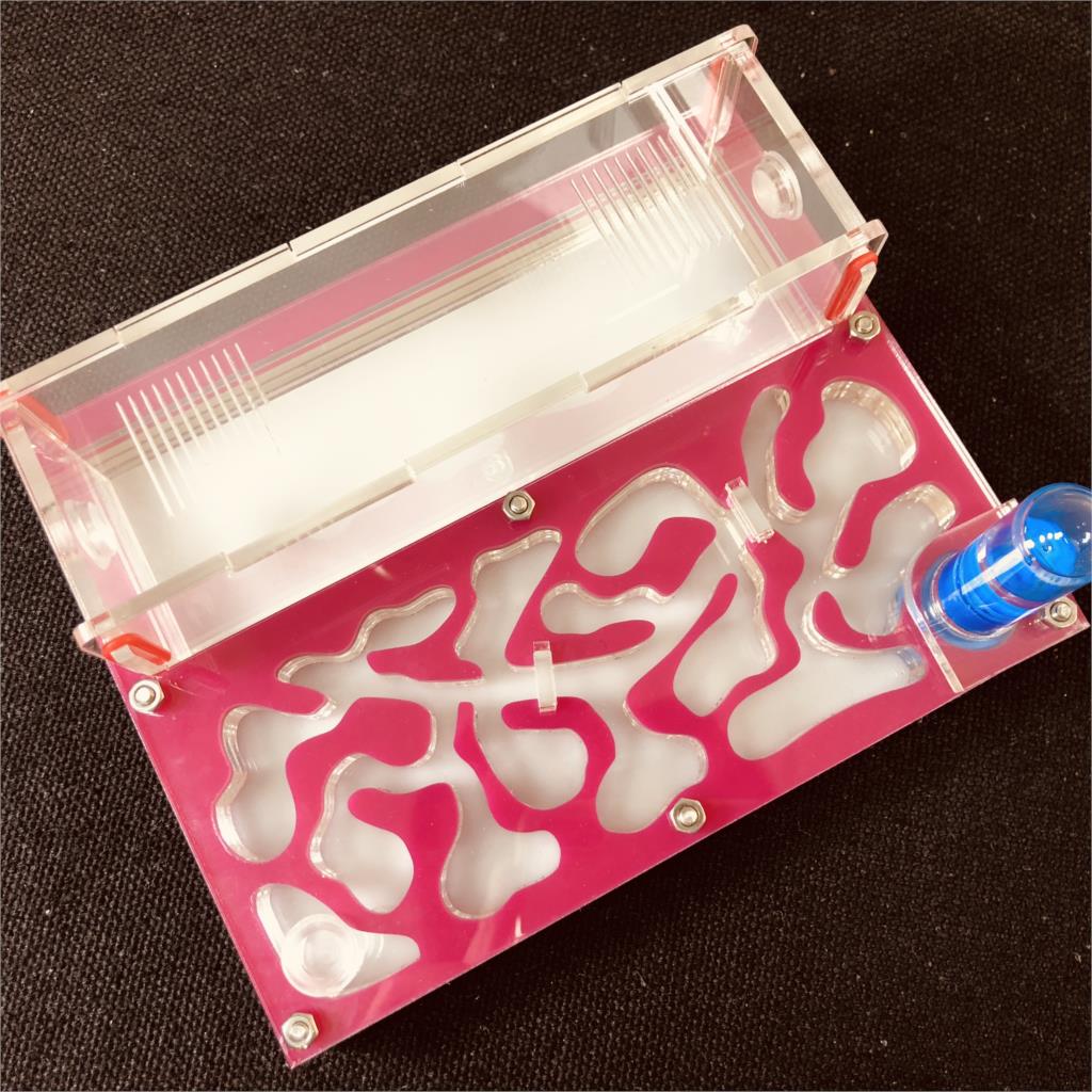 150mmx110mm test tube Moisture big space Ant Nest ,Ant Farm Acrylic, Insect ants Villa House Ants Ecological Workshop