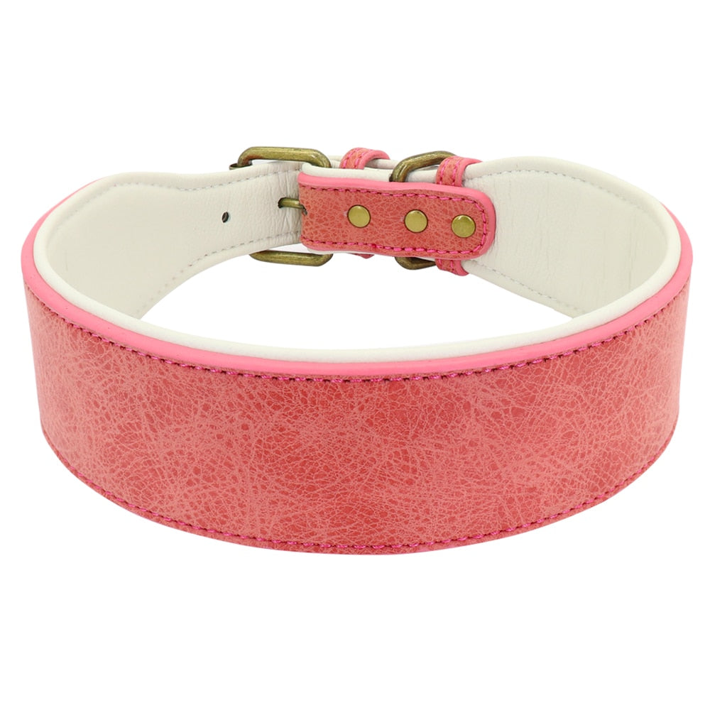 Wide Leather Dog Collar Padded Pet Collars Dog Collar for Medium Large Dogs Pitbull Bulldog German Shepherd 2XL