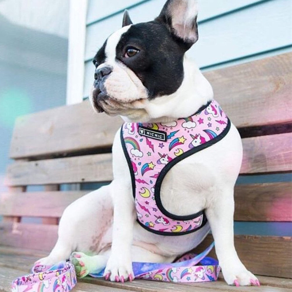 Pug Small Dog Harness No Pull Dog Vest Harness for Small Medium Dogs Breathable Pets Puppy French Bulldog Dog Harness Leash Set