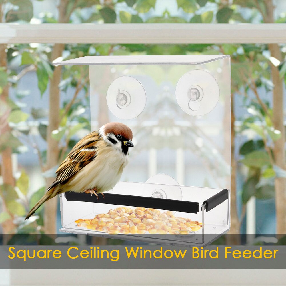 Bird Feeder Transparent Window Viewing Bird Feeders Tray Birdhouse Pet Water Feeder Suction Cup Mount House Type Bird Feeder