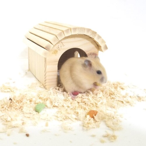 High Quality Natural Hamster Wood Shed House Small Animal Cage Accessories Chinchillas Toys
