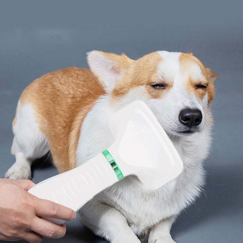 Pet Hair Dryer Portable 2 in 1 Dog Hair Dryer Home Pet Grooming Cat Hair Comb Dog Fur Blower Adjustable Temperature Pet Brush