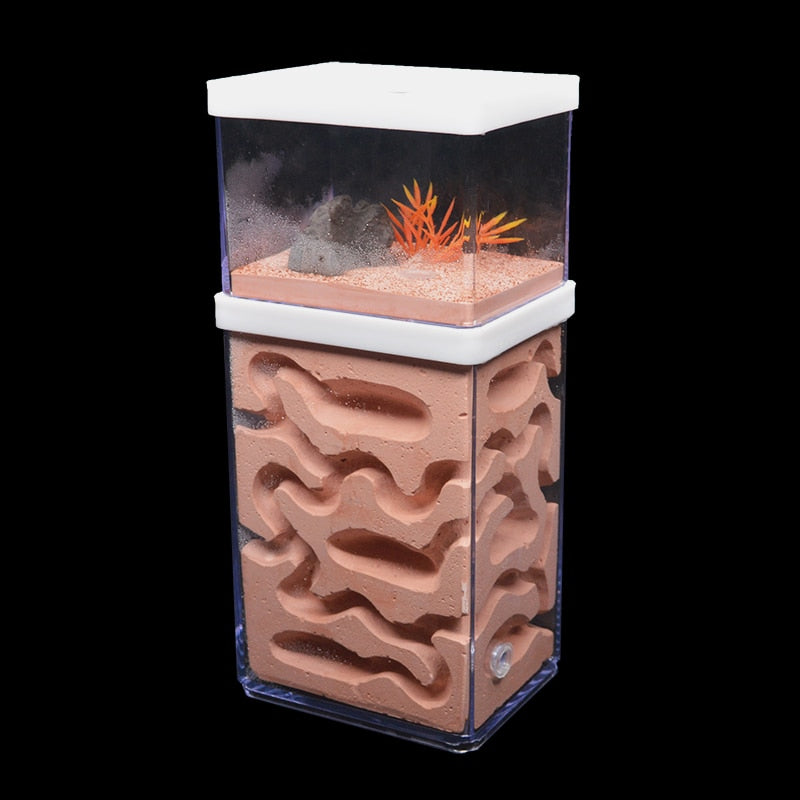 New Large Plaster Ant Farm Natural Ecological Big Ant Nest Insect Castle Workshop Pet Anthill Ant House with Feeding Area