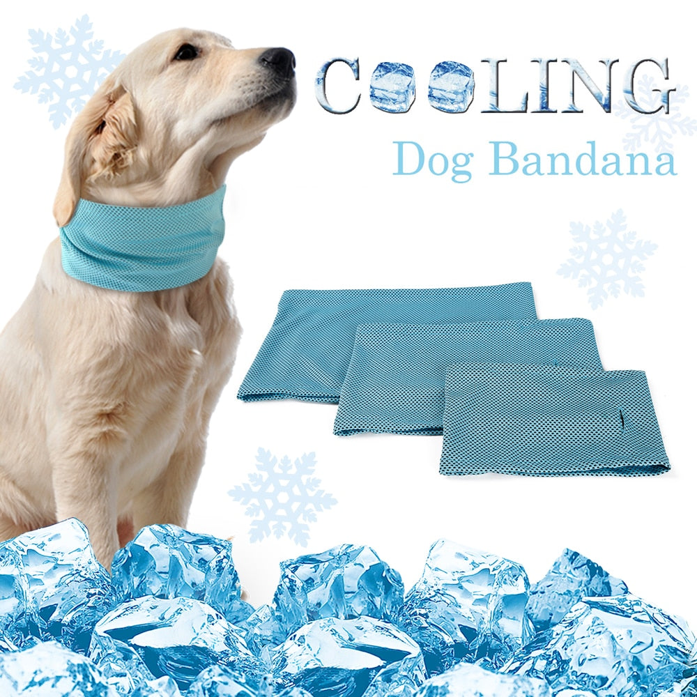 Summer Dog Pet Cooling Bandana Collar Sunstroke Prevention Puppy Scarf Ice Cooling Collars for Small Medium Large Dogs Pitbull
