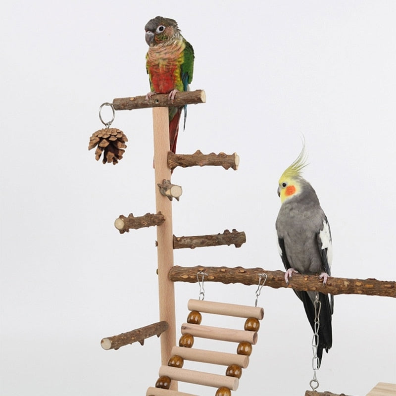 K5DC Parrot Playstand Bird Plays Stand Cockatiel Playground Wooden Perch Gym Ladder Cage Accessories