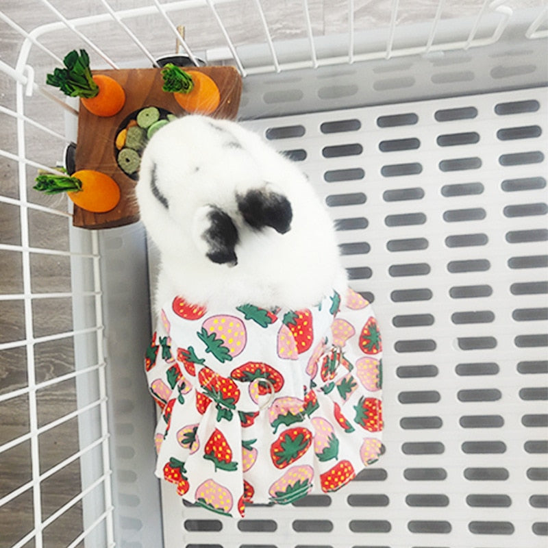 Rabbit Wooden Carrot Snack Box Chinchilla Guinea Pig Hamster Bunny Cage Food Bowl Small Animal Feeding Supplies Toy Pet Item