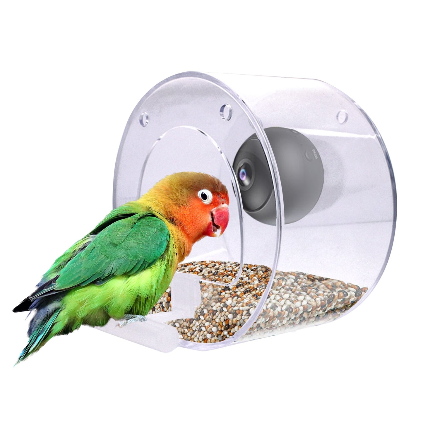 New Bird Feeder With Camera Bird Feeders House With Wireless WiFi Bird Camera 1080p For Outdoor Bird Watching Bird Feeder Aves