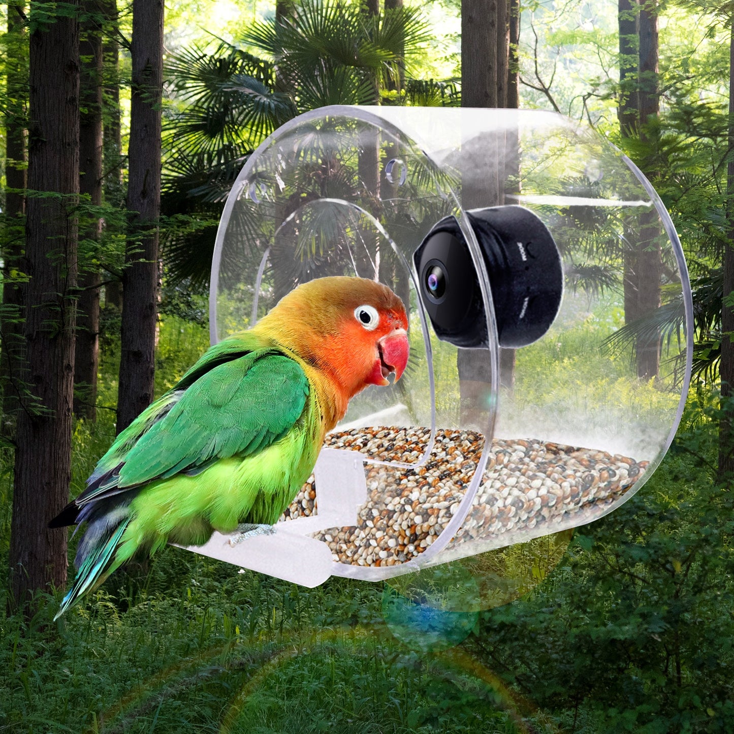 New Bird Feeder With Camera Bird Feeders House With Wireless WiFi Bird Camera 1080p For Outdoor Bird Watching Bird Feeder Aves