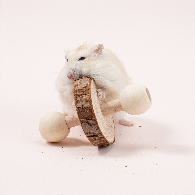 Cute Natural Wooden Rabbits Toys Pine Dumbells Unicycle Bell Roller Chew Toys for Guinea Pigs Rat Small Pet Molars Supplies