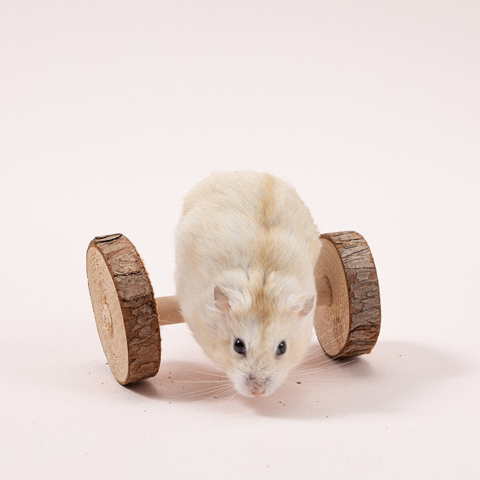 Cute Natural Wooden Rabbits Toys Pine Dumbells Unicycle Bell Roller Chew Toys for Guinea Pigs Rat Small Pet Molars Supplies