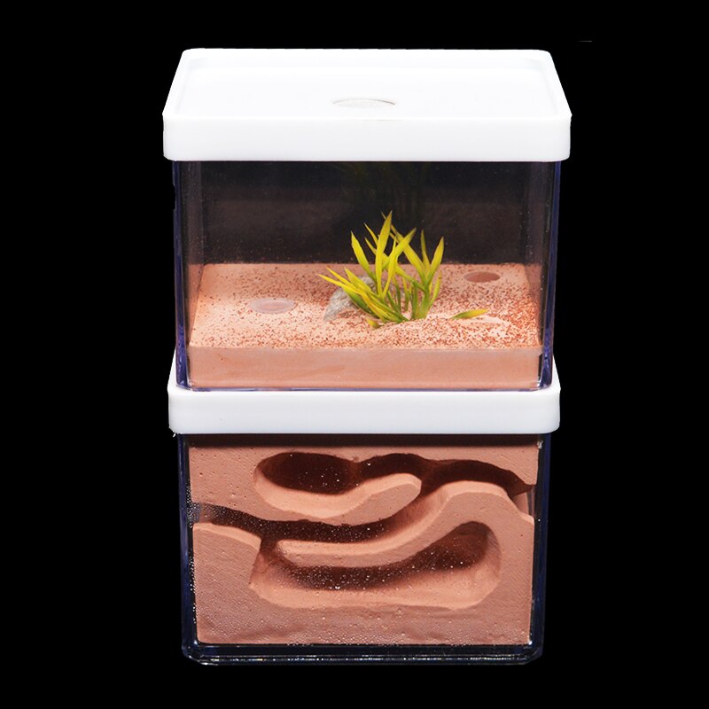 New Large Plaster Ant Farm Natural Ecological Big Ant Nest Insect Castle Workshop Pet Anthill Ant House with Feeding Area