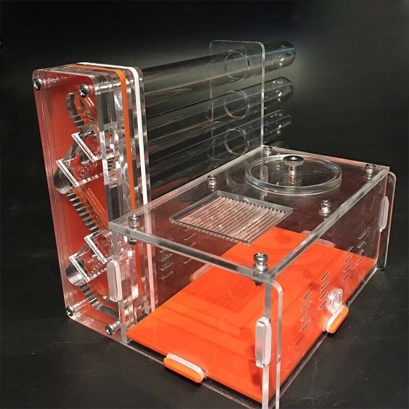 DIY Acrylic Ant Farm with Feeding Area Ants House Workshop 5 Plaster Tubes Ant Nest Insect Gypsum Test Tube Nest Pet Anthill